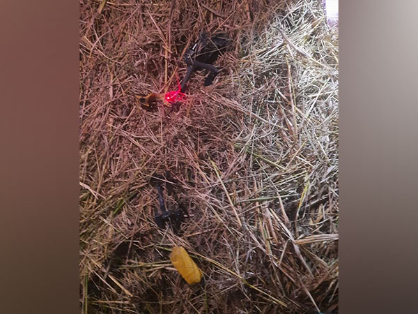 Punjab police, BSF jointly recover broken drone in Tarn Taran (Image/ANI)