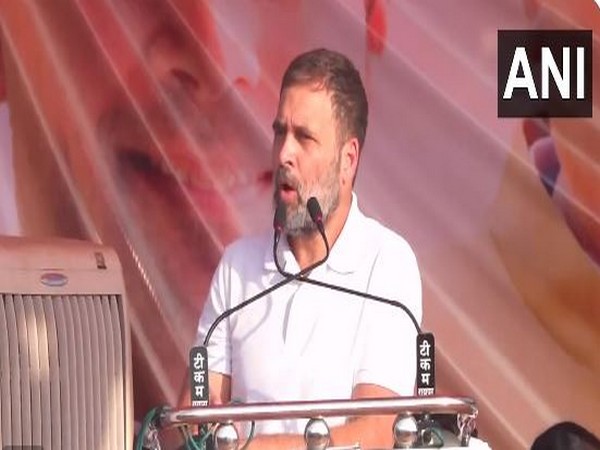 Congress MP Rahul Gandhi (Photo/ANI)