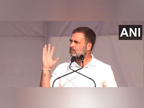 Congress leader Rahul Gandhi (Photo/ANI)