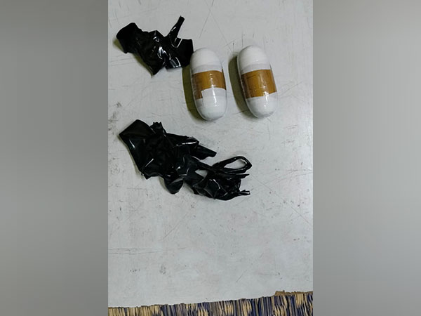 Gold seized at Trichy airport (Photo/Customs)