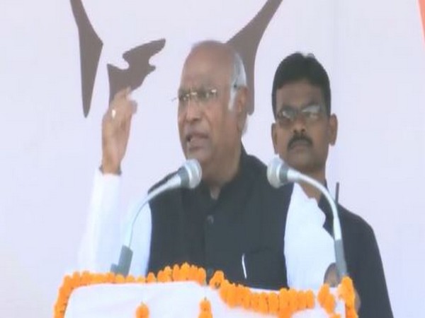 Congress President Mallikarjun Kharge (Photo/ANI)