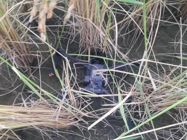 BSF recovers contraband item from farming field in Punjab's Amritsar (Photo/ANI)