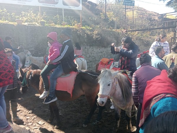 Horsemen in Kufri worry after Forest department's order to restrict number of horses (Photo/ANI)