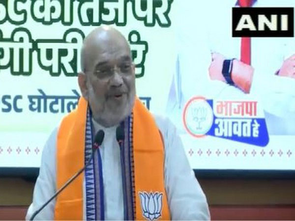 Home Minister Amit Shah(Photo/ANI)