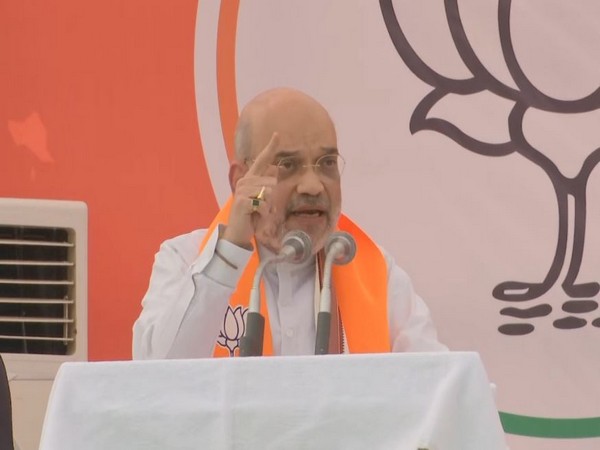 Union Home Minister Amit Shah (Photo/ANI)