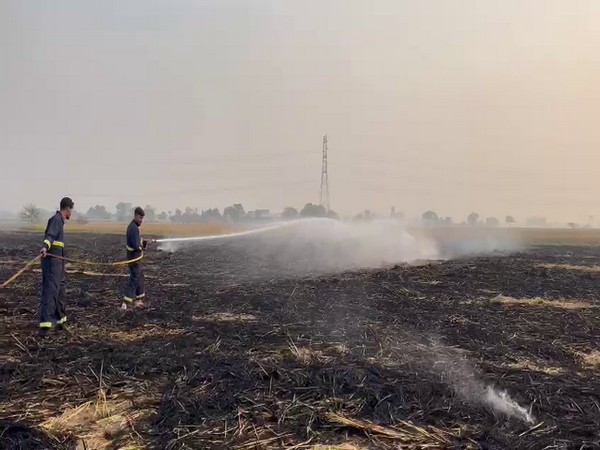 Fire brigade, Agriculture Department teams extinguish fire set to stubble in Moga district (Photo/ANI)
