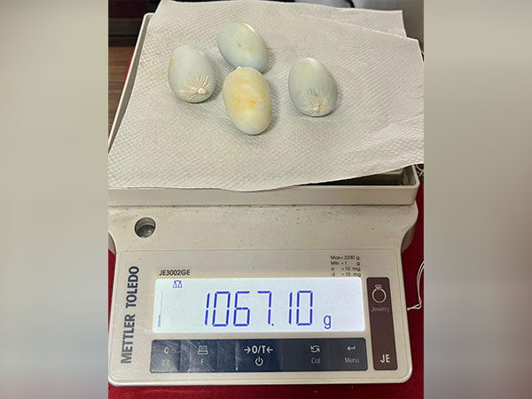 Cochin Customs arrest man for smuggling 4 gold capsules (Image/ANI)