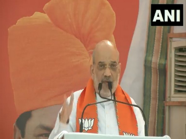 Union Home Minister Amit Shah (Photo/ANI)