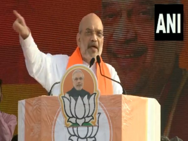 Union Home Minister Amit Shah (Photo/ANI)