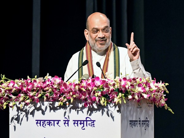 Union Home Minister Amit Shah (File Photo/ANI)