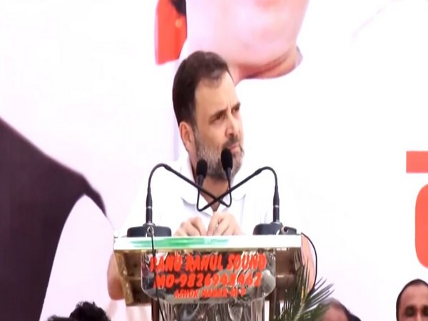 Rahul Gandhi while campaigning at Madhya Pradesh's Ashoknagar (Photo/ANI)