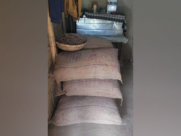 Assam police seize large quantity of Burmese supari on Friday. (Photo/ANI)