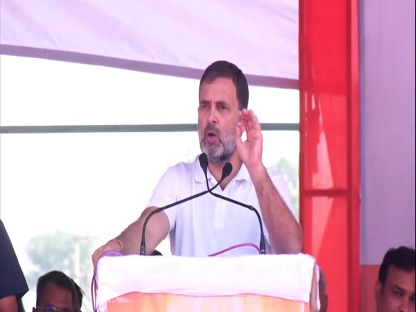 Congress MP Rahul Gandhi (Photo/ANI)