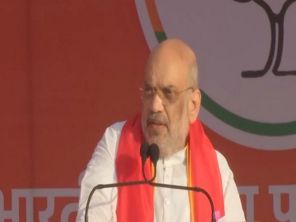 Union Home Minister Amit Shah (Photo/ANI)