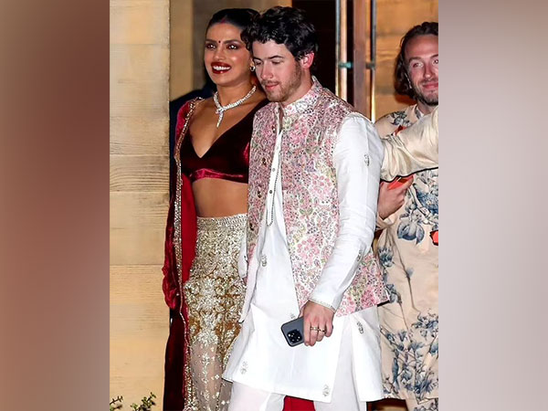 Priyanka Chopra Jonas and Nick Jonas (Image source: Instagram)