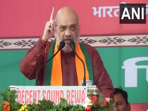 Union Home Minister Amit Shah (Photo/ANI)