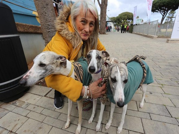 Representative Image (Photo/TPS)