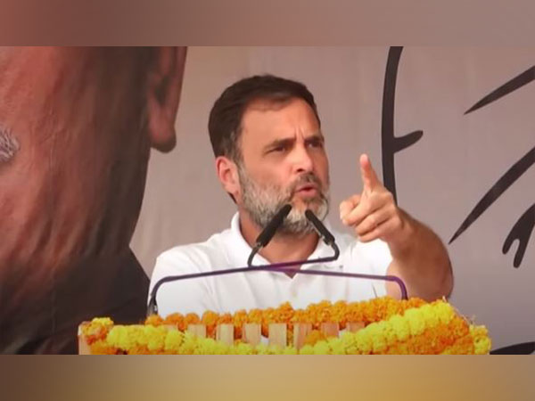Congress leader Rahul Gandhi (Photo/ANI)