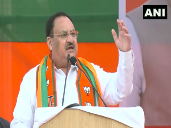 BJP National President JP Nadda (Photo/ANI)