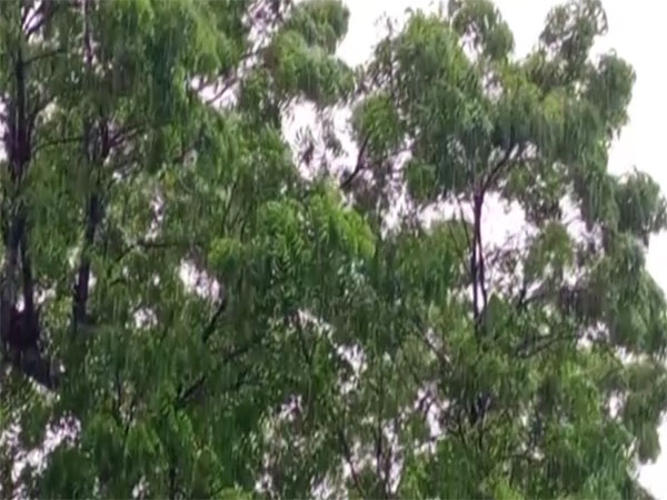 Rain visuals from Nagapattinam, Tamil Nadu. (Photo/ANI)