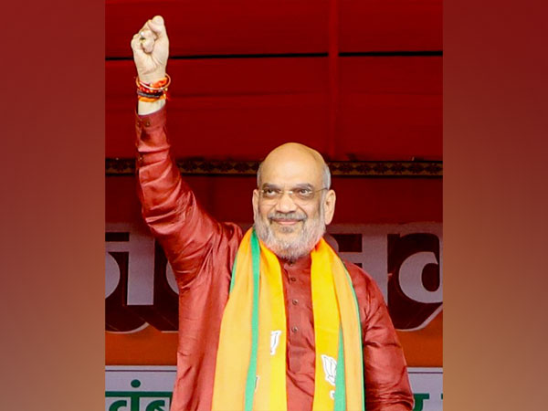 Union Home Minister Amit Shah (File Photo/ANI)