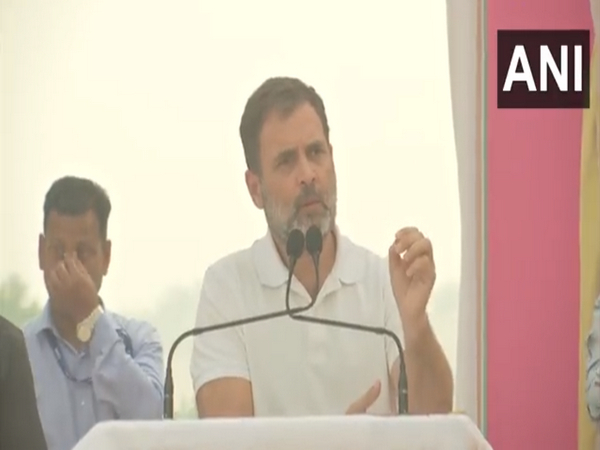 Congress leader Rahul Gandhi (Photo/ANI)