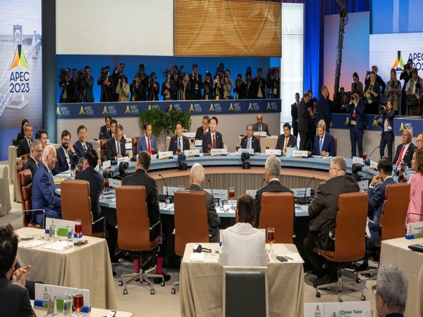 Union Minister of Commerce and Industry Piyush Goyal at APEC dialogue (Photo/X @PiyushGoyal)