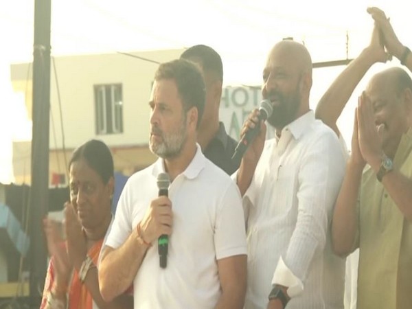 Congress leader Rahul Gandhi (Photo/ANI)