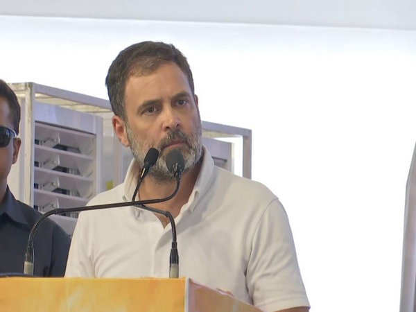 Congress leader Rahul Gandhi (Photo/ANI)