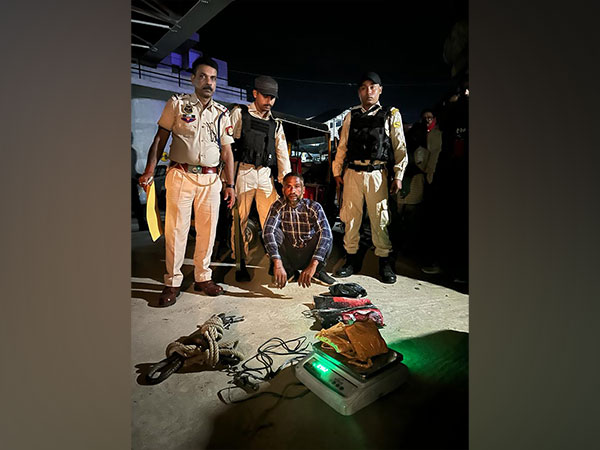 STF apprehends drug peddler in Hojai (Photo/ANI)