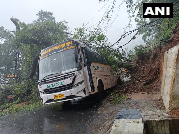 Tree falls on bus due to landslide in Burliyar. (Photo/ANI)