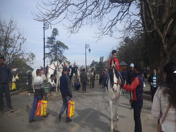 Visuals from the spot (Photo/ANI)