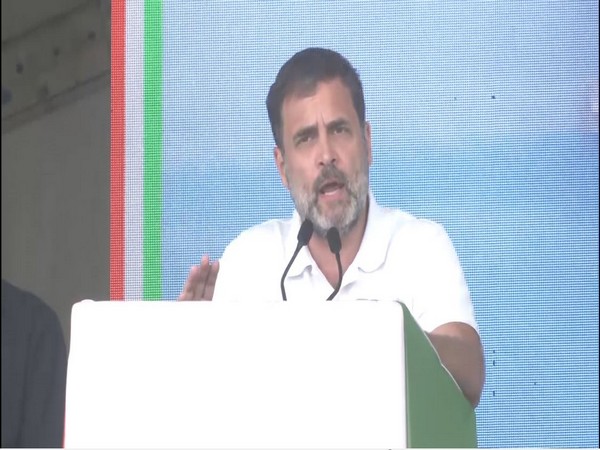 Congress MP Rahul Gandhi (Photo/ANI)