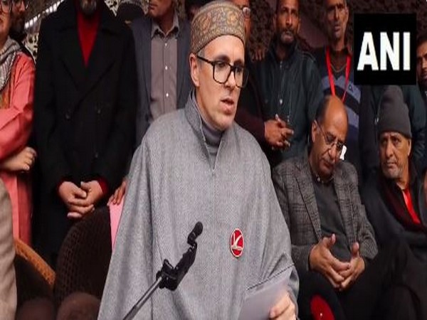 National Conference Vice President Omar Abdullah (Photo/ANI)
