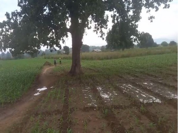 Visuals from Dahod in Gujarat, which saw unseasonal rainfall. (Photo/ANI)