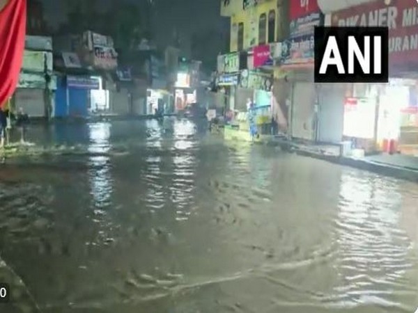 Visual from Waterlogged areas of Jhajjar. (Photo/ANI)