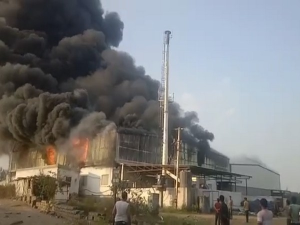 Fire breaks out at thermocol company in Telangana's Rangareddy (Photo/ANI)