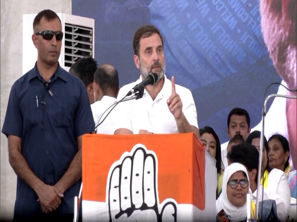 Congress leader Rahul Gandhi (Photo/ANI)