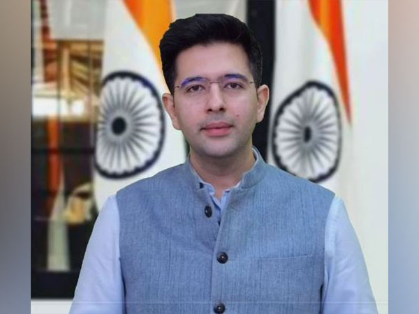 Rajya Sabha member Raghav Chadha (Photo/ANI)