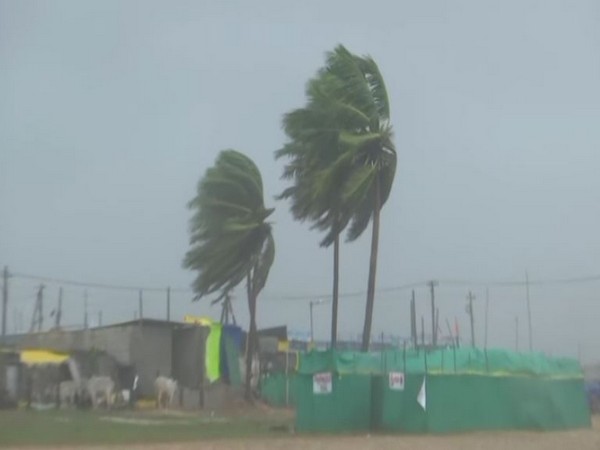 Severe Cyclone 'Michaung' hits Bapatla (Photo/ANI)