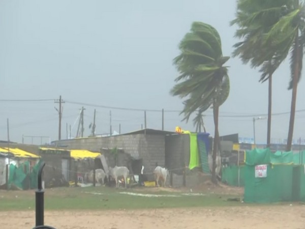 Visuals from Bapatla, Andhra Pradesh hit by gusty winds due to Cyclone Michaung. (Photo/ANI)