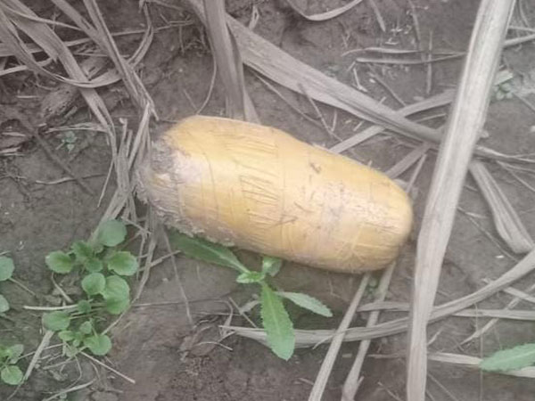 BSF, Punjab Police recover contraband drug from Punjab's Gurdaspur district. (Photo/BSF)