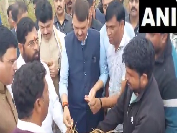 Maharashtra Chief Minister Eknath Shinde inspected the paddy crop damaged due to unseasonal rain at Tarsa in Nagpur district. (Photo/ANI)