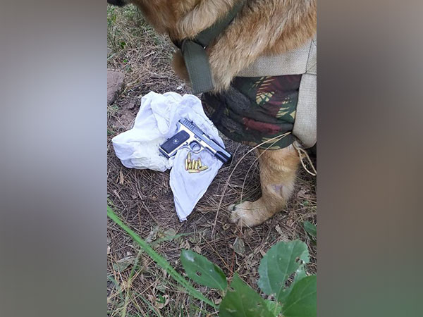 Arms and ammunition recovered (Photo/ANI)