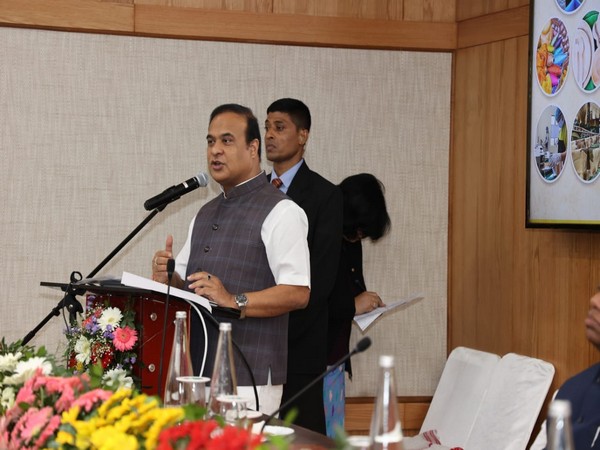 Assam Chief Minister Himanta Biswa Sarma (Photo/ANI)