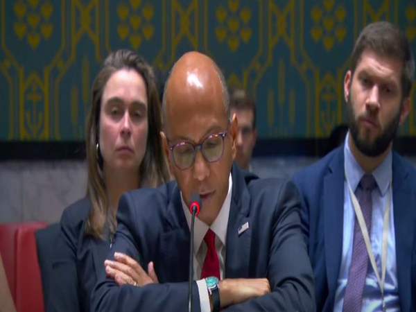 US Deputy Representative at the UN Robert Wood (Image Credit: YouTube/@UnitedNations)