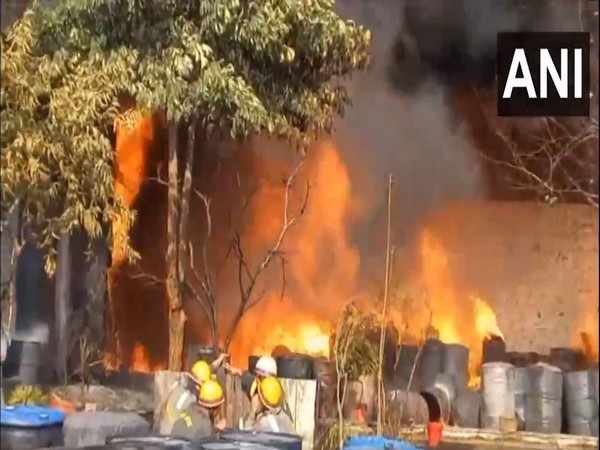 A visual from the site. (Photo/ANI)