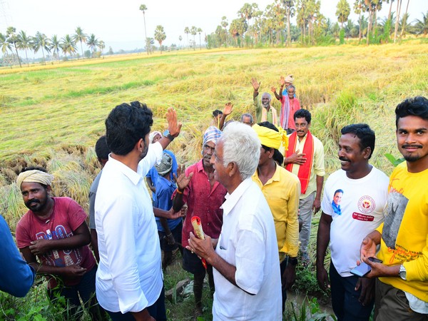 TDP General Secretary Nara Lokesh inspects paddy fields damaged by Cyclone Michaung in Tuni. (Photo/ANI)