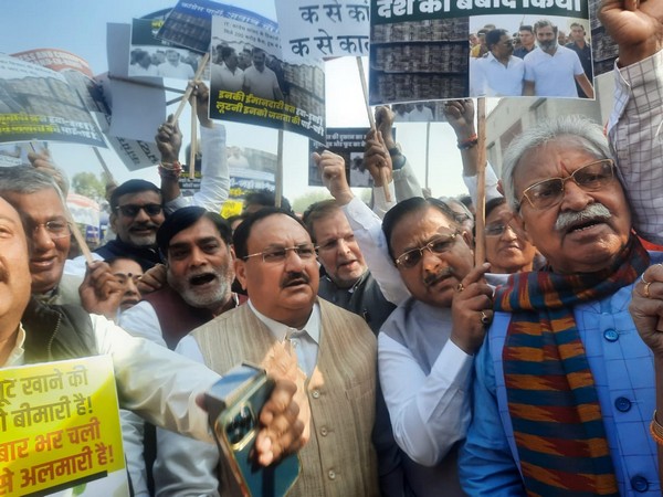 BJP National President JP Nadda with party MPs at the protest (Photo/ANI)