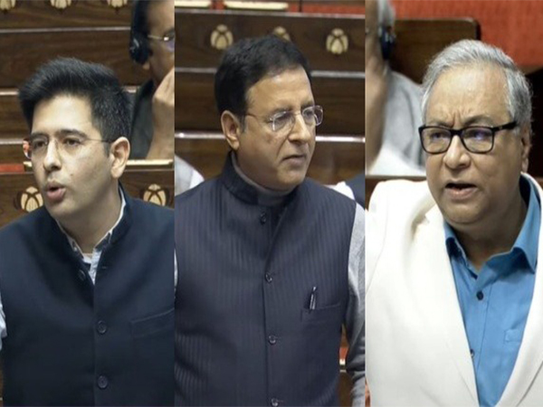 AAP MP Raghav Chadha, Congress MP Randeep Surjewala, AITC MP Jawahar Sircar (Photo Credit: Sansad TV)